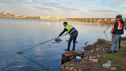 Meriç Nehri'nde korkutan görüntü: Bakanlık harekete geçti - gundem