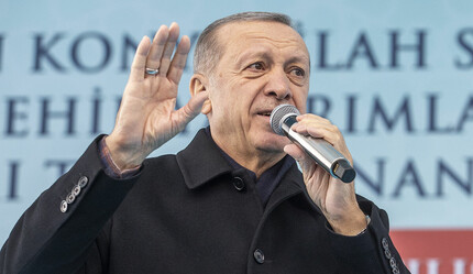 Son dakika! Cumhurbaşkanı Erdoğan'dan Konya'daki köpek katliamına sert tepki: Kimse hayvanlara eziyet edemez - gundem