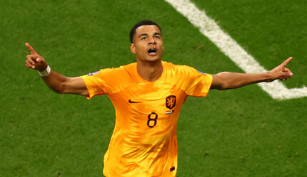 Hollanda'nın bu kupadaki yıldızı Cody Gakpo! Katar'a da attı, 3'te 3 yaptı - spor