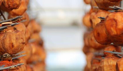 Kurusu yaşından 10 kat daha pahalı! Lezzeti için günde 3 defa masaj yapıyorlar: Köyün geçim kaynağı oldu - yasam