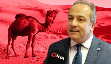 Yeni pandemi endişesi: Deve gribi! Uzmanından beklenen açıklama geldi - saglik