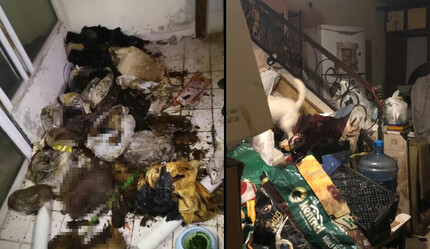 Kan donduran olay! Bir ihbar dehşeti ortaya çıkardı: Evin içini gören ekipler gördüklerine inanamadı - gundem