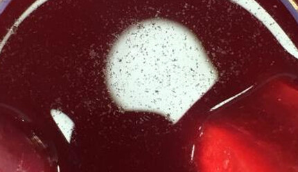 Bu şifa kaynağına talep yağmuru var! Hem hastalıkları kovuyor hem de lezzetli! İçinde 3 çeşit vitamin var - saglik