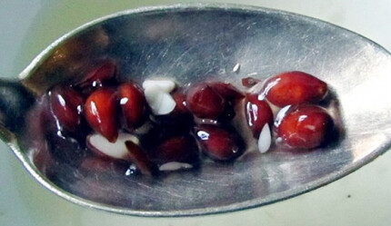 Öksürüğü kesiyor, akciğerde oluşan iltihabı temizliyor! Ufacık tefecik olduğuna bakmayın, faydası çok… - saglik