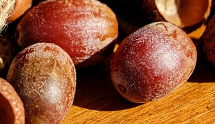 Arpaya şifa gibi alternatif! Hem geçim kaynağı hem de şeker ve tansiyon hastalarına birebir: Torbası 250 TL, akın akın gidiyor - ekonomi
