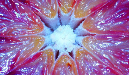 Bağırsakları hızlandırıyor, vücuttaki ödemi atıyor! Kabızlığın doğal ilacı… Suyu da kendisi de şifa - saglik