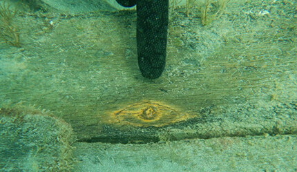 Metrelerce derinlikteki saklı hazine ortaya çıktı! Herkes şaşkın: Bölge apar topar korumaya alındı - gundem