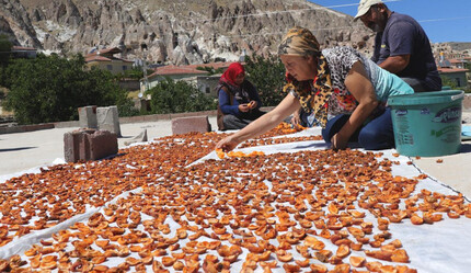 İhracat şampiyonu oldu… 402 milyon dolar elde edildi! - ekonomi