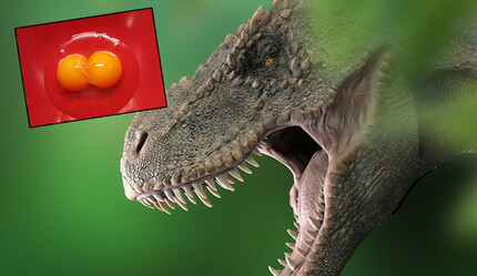 Dinozor yuvalarında 256 yumurta bulundu: Çift sarılı dinozor yumurtası bilim insanlarını şaşkına çevirdi - teknoloji