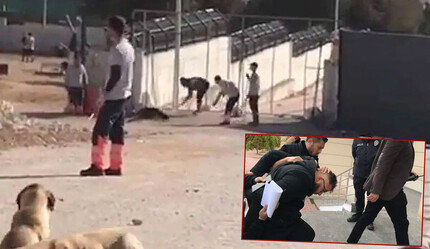 Son dakika: Konya'da kürekle köpek öldürenlerin cezası belli oldu - gundem
