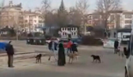 Başıboş köpekler yine dehşet saçtı: Dershaneye giderken saldırıya uğradı, mahalleli kurtardı - gundem
