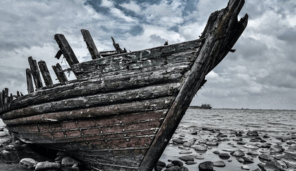 Vikingler’in İngiltere’ye sevdikleri hayvanları da yanlarında taşıyarak işgale gittiği ortaya çıktı - dunya