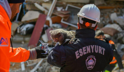 Enkaz altında her can yaşam savaşı veriyor: Hatay’da 121 saat sonra bir kedi kurtarıldı - gundem