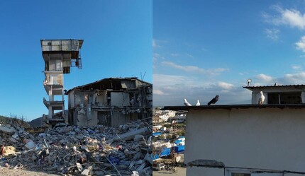 Çöken binada bir tek güvercin yuvaları ayakta kaldı - hayatin-icinden