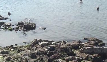 Balıkesir'de deniz çekildi, deprem paniği oluştu! Ürküten görüntüler: İlginç taşlar ortaya çıktı - gundem