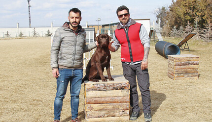 Enkaz altından yüzlerce kişinin kurtarılmasını sağladılar: Teknoloji, köpek burnu kadar hassas değil - yasam