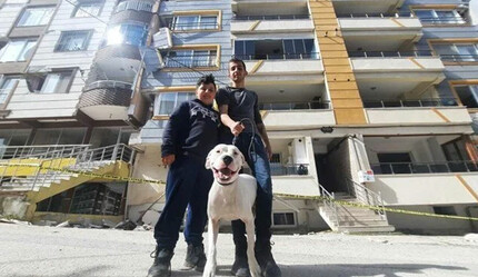Kahraman köpek Dora deprem anında çocukların üzerine siper oldu - gundem