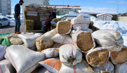 Gaziantep'in iki ilçesinde depremzede çiftçilere 2 bin ton yem desteği - ekonomi