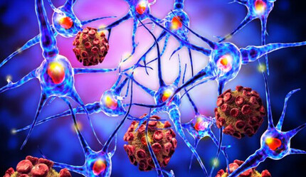 Türk bilim insanlarının başarısı: Yeni bir bağışıklık sistemi hastalığı buldular - teknoloji