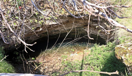 Antalya'da çöplük haline gelen 35 metre derinliğindeki gizemli çukurdan çıkanlar şoke etti! Bilim açısından oldukça önemli. Buranın korunması gerekiyor - gundem