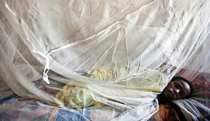 Nijerya'da 'lassa ateşi' salgını: 2 haftada 40 kişi hayatını kaybetti - dunya