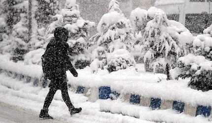 Muş'ta kar sebebiyle okullar 1 günlüğüne tatil edildi - gundem