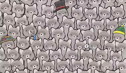 15 saniyeniz var! Resimdeki kediyi bulan ‘cingöz’ kabul ediliyor - yasam