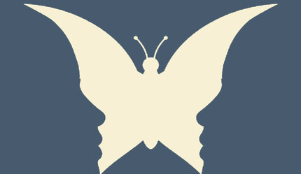 Resimde ilk ne görüyorsun? Bu test karakterinize dair çok şey söylüyor - yasam