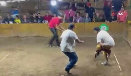 Dövüştürülen horoz rakibine değil sahibine saldırdı! Çevredekiler zor ayırdı - gundem
