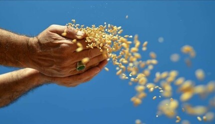 Küresel gıda pazarında endişe büyüyor: Batılı tarım şirketleri Rusya'dan çekiliyor - dunya
