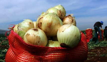 Sebze ve meyve fiyatlarında bayram öncesi sevindirici haber geldi! Soğan, domates, biber fiyatları düşebilir - ekonomi