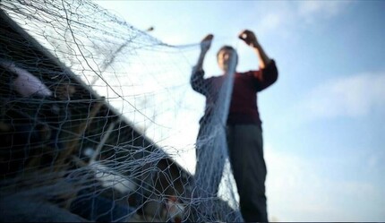 Taze balık sezonu bitti, denizlerde avlanmak 5 ay boyunca yasak olacak - gundem