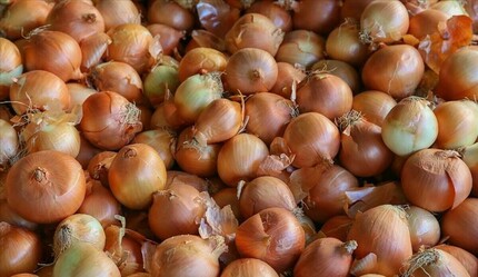 Bakan Kirişci'den soğan fiyatı açıklaması: