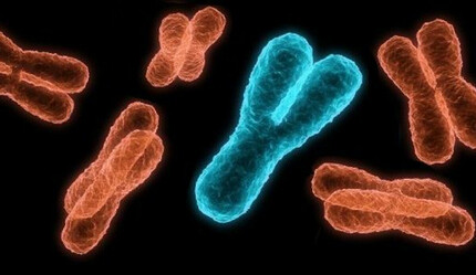Klinefelter Sendromu nedir, nedenleri nelerdir? Klinefelter Sendromu belirtileri, testi nasıl yapılır? - saglik