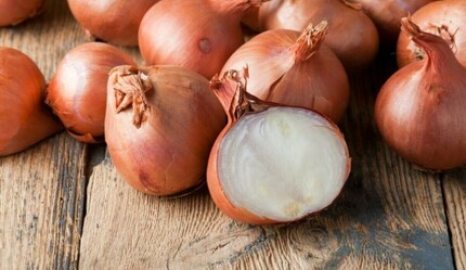 Tarlada kaldı, fiyatı dip yaptı! Ziraat Odası Başkanı tarih verdi: