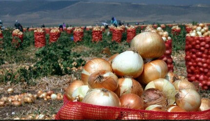 Patates-soğan fiyatlarda büyük düşüş - ekonomi