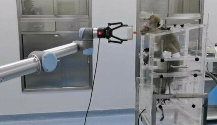 Maymunlar sadece düşünerek robotik kolu hareket ettirdi - teknoloji