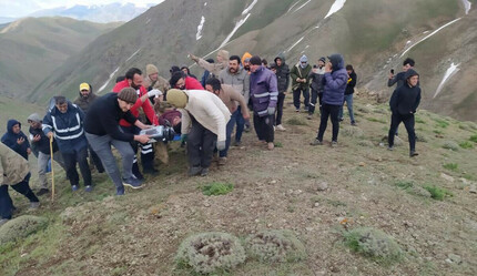 Van'da çobanların üstüne yıldırım düştü - gundem