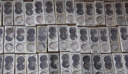 Türkiye'de sadece 5 kişi üretiyor! Tanesi ise 300 TL'den satılıyor - ekonomi