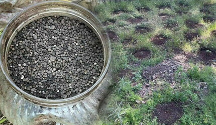 PKK'nın yeni planı bozuldu! Toprağa gömülü halde bulundu - gundem