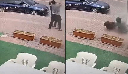 Elektrik teline konan papağanı kurtarmak isteyen gençten acı haber! 55 günlük yaşam mücadelesini kaybetti - gundem