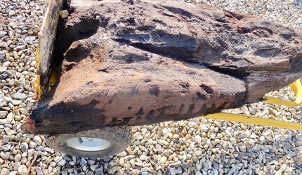 İngiltere'de sıra dışı keşif: 6 bin yıllık oyma ahşap bulundu - teknoloji