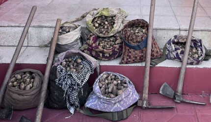 O bitkiye dokunan yandı! 13 kişiye tam 1 milyon 518 bin lira ceza - yasam