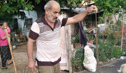 Evine yılan girdi: Eliyle yakalayıp dışarı attı - gundem