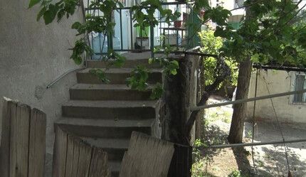 'Bahçede köpek besleme' kavgasında kan aktı! Kiracı ev sahibini pompalı tüfekle öldürdü - dunya