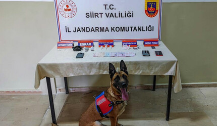 Siirt'te uyuşturucu satıcılarına darbe: 5 kişi tutuklandı - gundem
