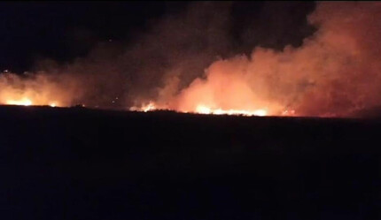 Düşen yıldırım buğday tarlasını küle çevirdi - gundem