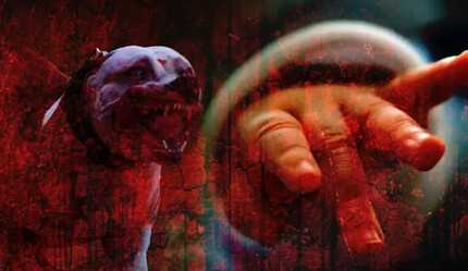 4 aylık bebeğini pitbull’la yalnız bıraktı, geri döndüğünde hayatının dehşetini yaşadı: Paramparça edip kenara attı - gundem