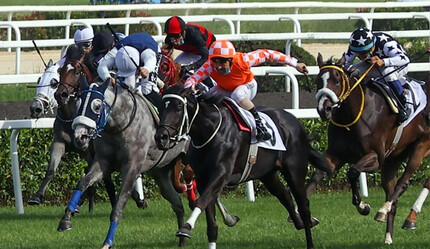 97. Gazi Koşusu’nda hangi atlar yarışacak? Gazi Koşusu’nda yarışacak atların listesi belli oldu mu? - spor