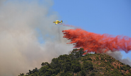 Marmaris'teki orman yangınında bulunan cesedin Belçikalı turiste ait olduğu ortaya çıktı - gundem
